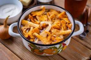 Лисички в сливочном соусе
